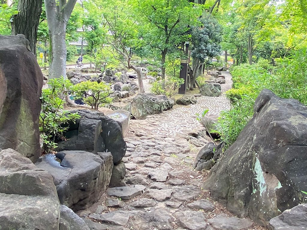 紅葉渓谷/大横川親水公園（東京都/墨田区）