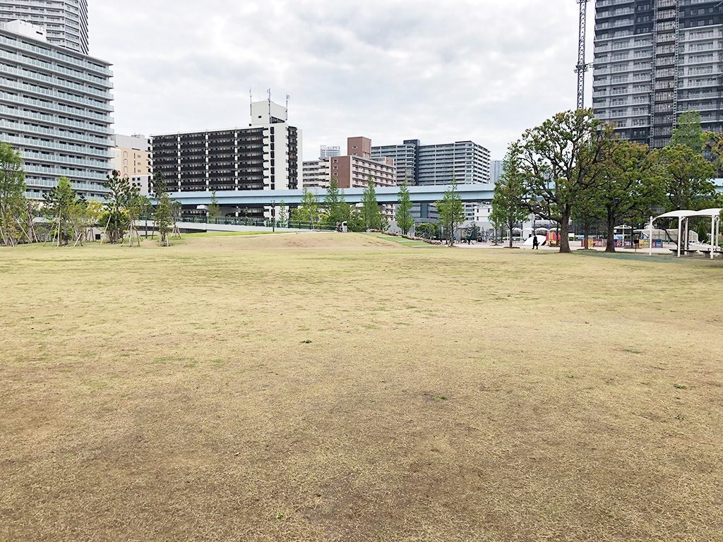 芝生広場/豊洲公園（東京都/江東区）