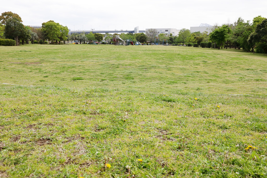 「芝生広場」／若洲公園（東京都／江東区）