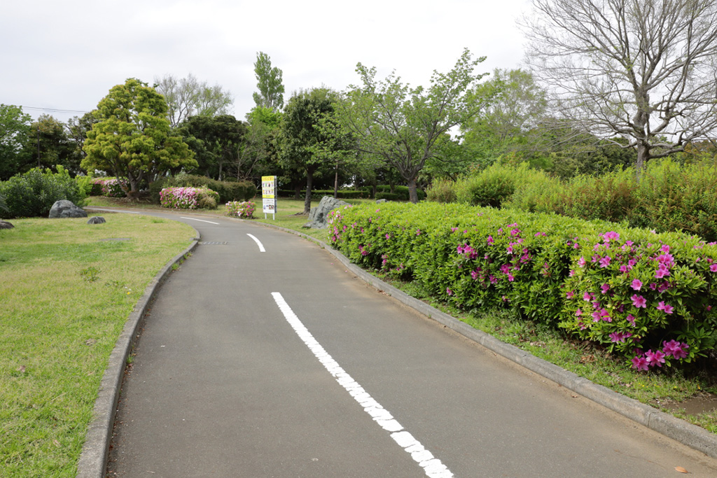 「サイクリングロード」／若洲公園（東京都／江東区）