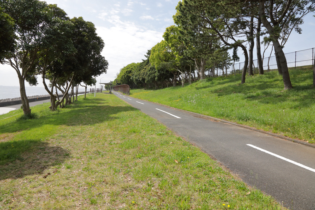 「サイクリングロード」／若洲海浜公園（東京都／江東区）