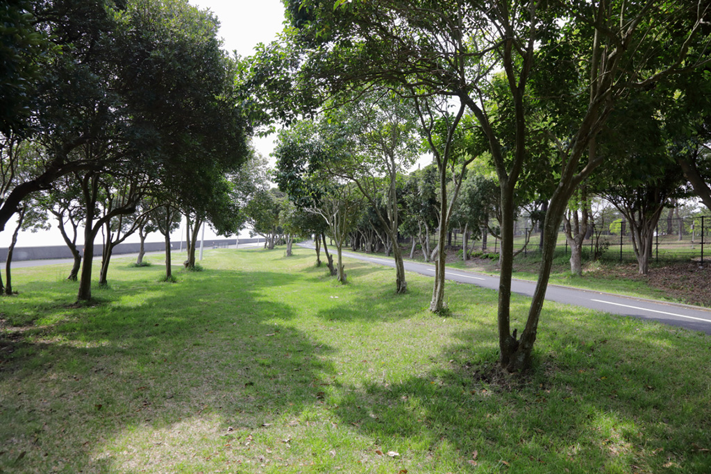 「小道」／若洲海浜公園（東京都／江東区）