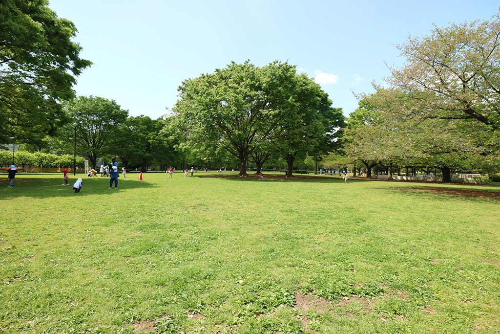 B地区芝生エリア/亀戸中央公園（東京都/江東区）