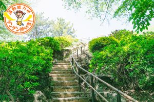 箱根山のある戸山公園（新宿区）を紹介！じゃぶじゃぶ池で水遊びも