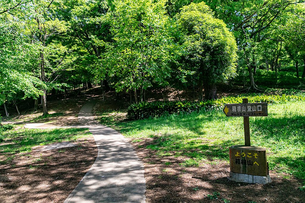 箱根山地区/戸山公園（東京都/新宿区）