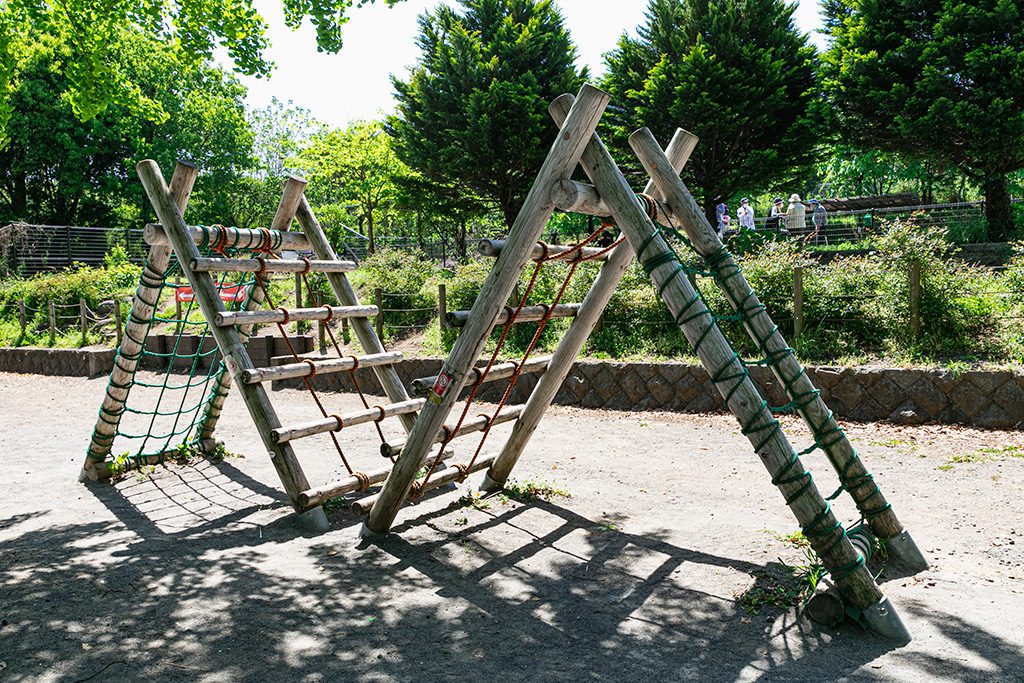「アスレチック広場」のアスレチック遊具/戸山公園（東京都/新宿区）