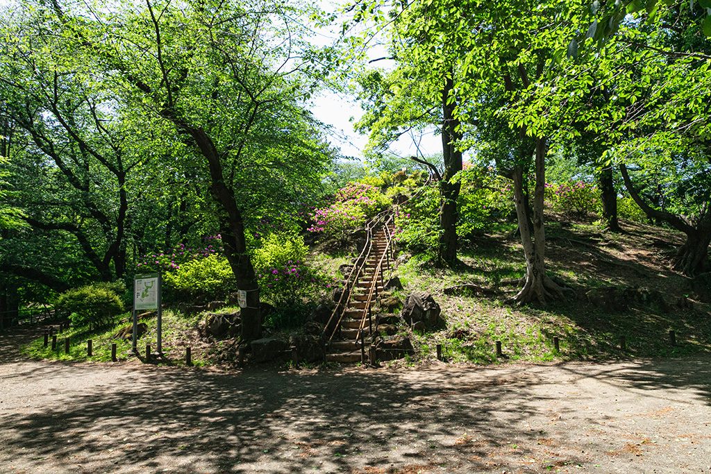 箱根山へ登る階段/戸山公園（東京都/新宿区）
