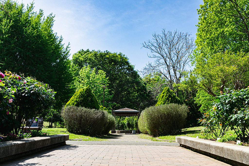 「花の広場」/戸山公園（東京都/新宿区）