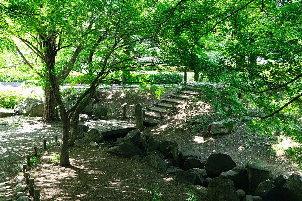 「ひなたぼっこ広場」/戸山公園（東京都/新宿区）