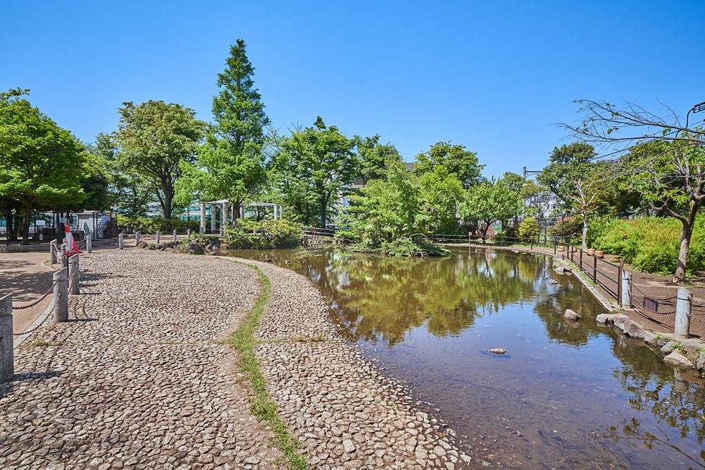 園内奥のエリアの小さな池/落合公園(東京都/新宿区)