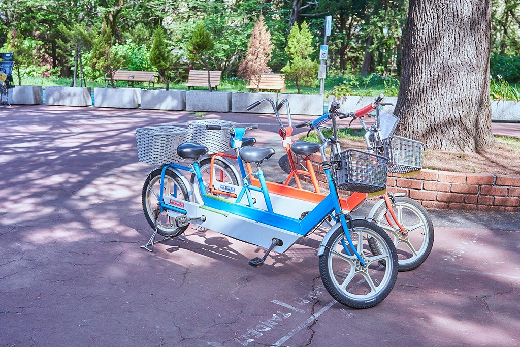 二人乗り自転車/代々木公園（東京都/渋谷区）