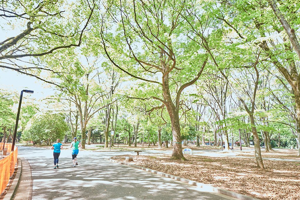 ランニングコース/代々木公園（東京都/渋谷区）