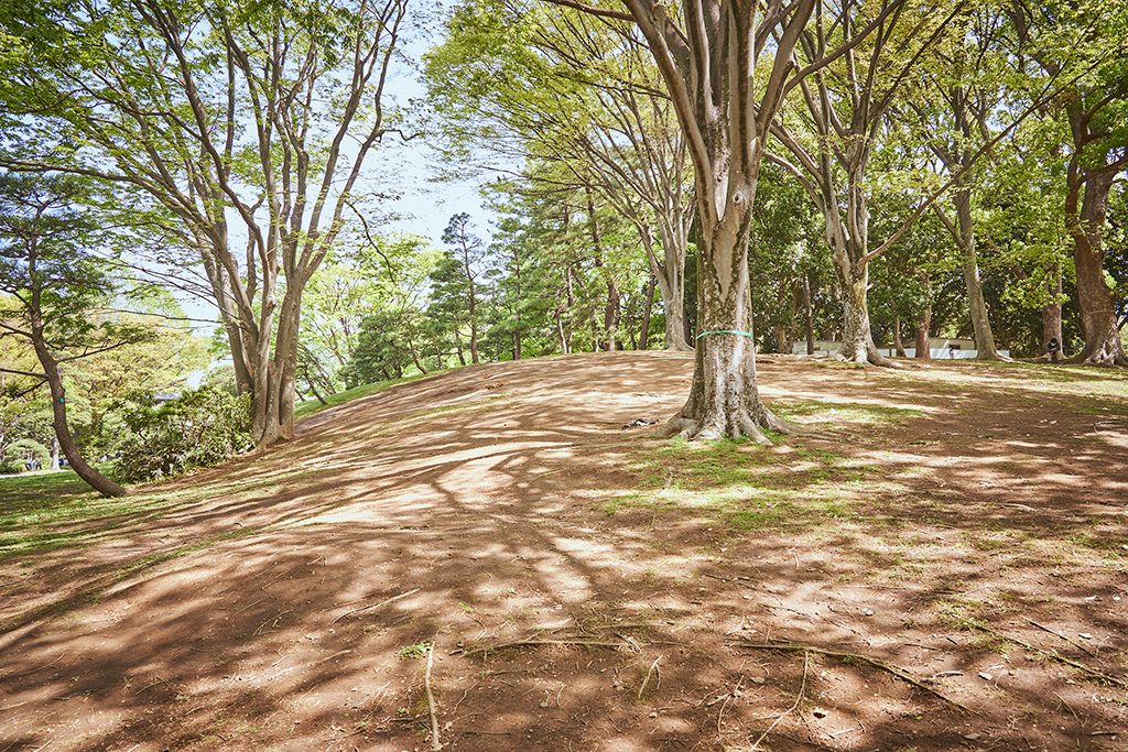 小山/代々木公園（東京都/渋谷区）