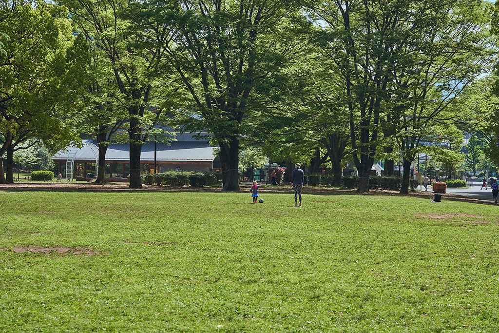 芝生広場/代々木公園（東京都/渋谷区）