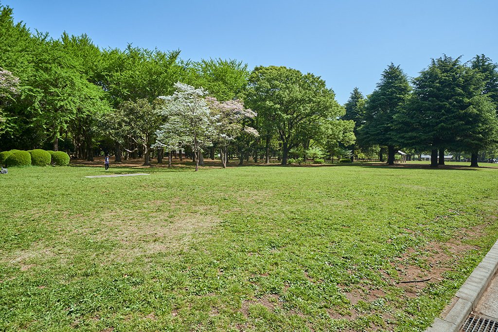 芝生広場/代々木公園（東京都/渋谷区）