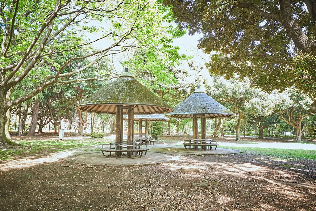 雑木林/代々木公園（東京都/渋谷区）