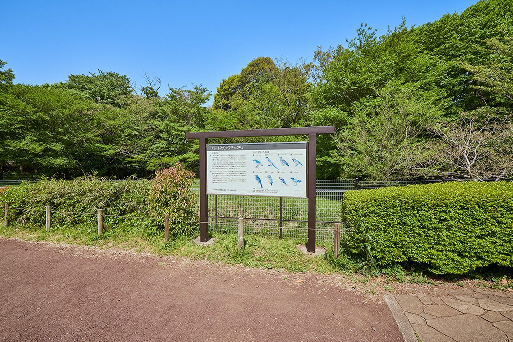 バードサンクチュアリ/代々木公園（東京都/渋谷区）