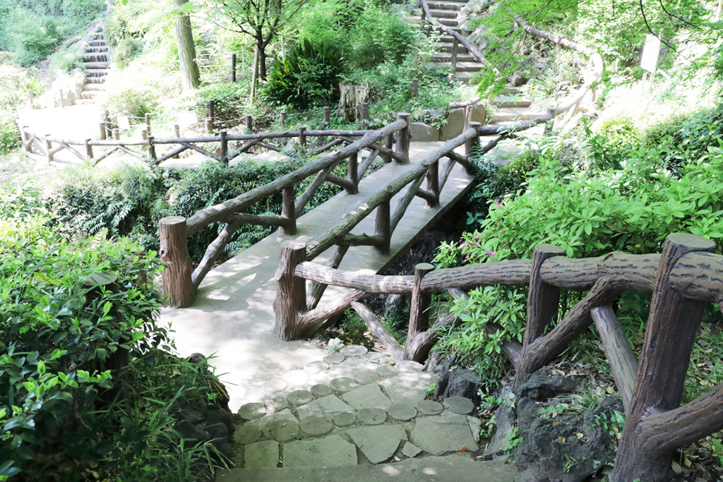 「遊歩道」/須藤公園(東京都/文京区)