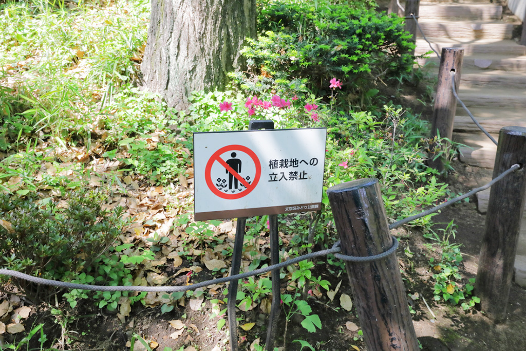 「立入禁止」/須藤公園(東京都/文京区)