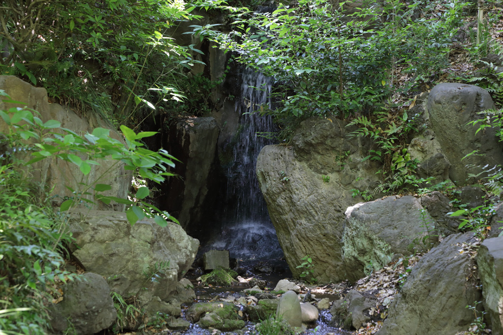「須藤の滝」/須藤公園(東京都/文京区)