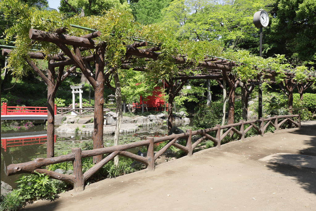 「藤棚」/須藤公園(東京都/文京区)