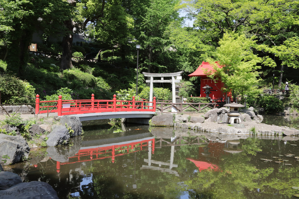 「池」/須藤公園(東京都/文京区)
