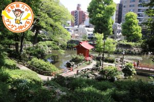 高低差のある地形が魅力!須藤公園(文京区)で自然とふれあう
