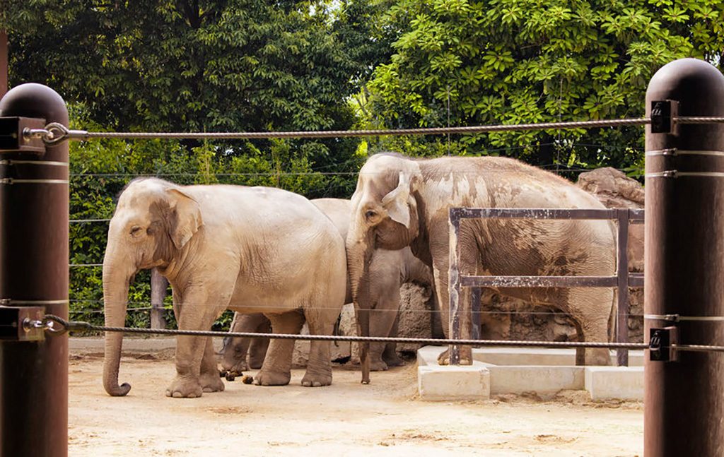 恩賜上野動物園/上野恩賜公園(東京都/台東区)