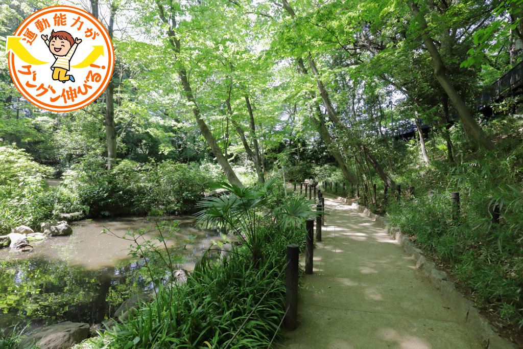おとめ山公園（新宿区）で森の中を駆け回り自然観察を楽しもう
