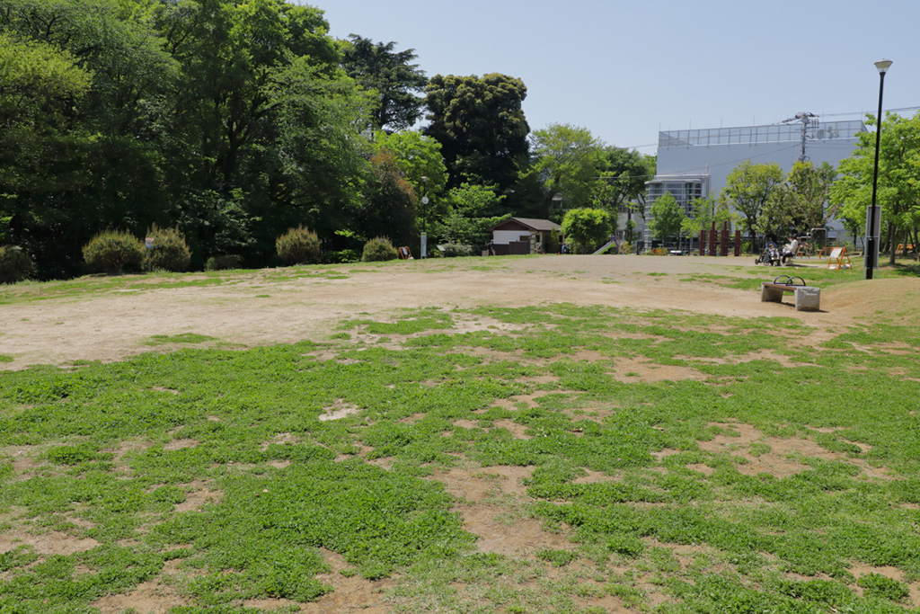 「原っぱ」／おとめ山公園（東京都／新宿区）