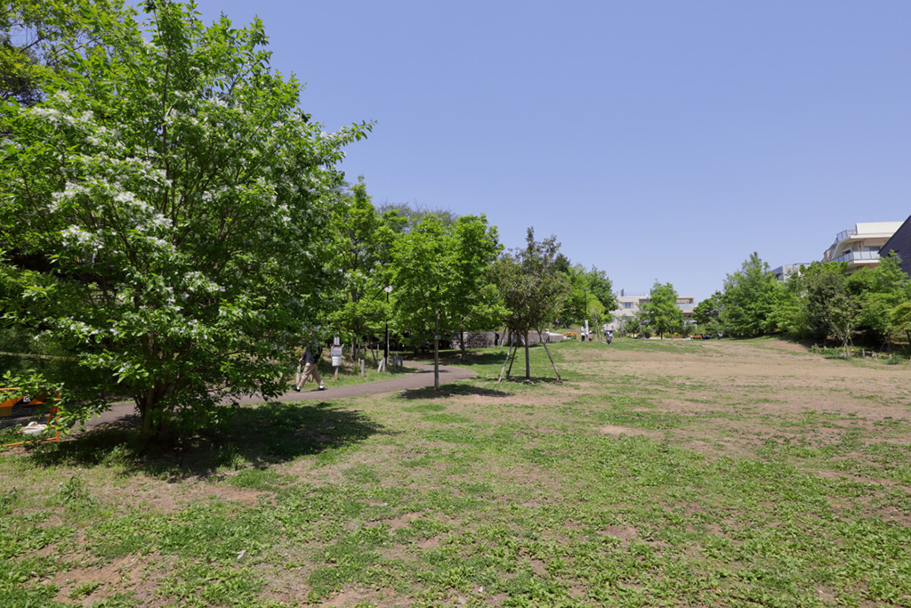 「谷戸の森」／おとめ山公園（東京都／新宿区）