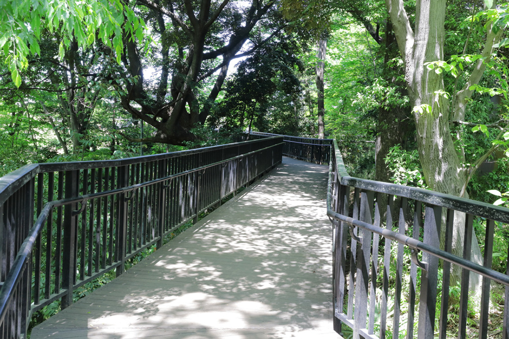 「林間デッキ」／おとめ山公園（東京都／新宿区）