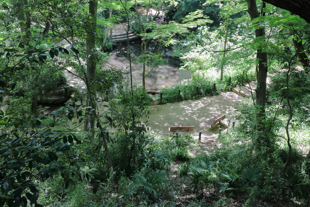 「林間デッキ」／おとめ山公園（東京都／新宿区）
