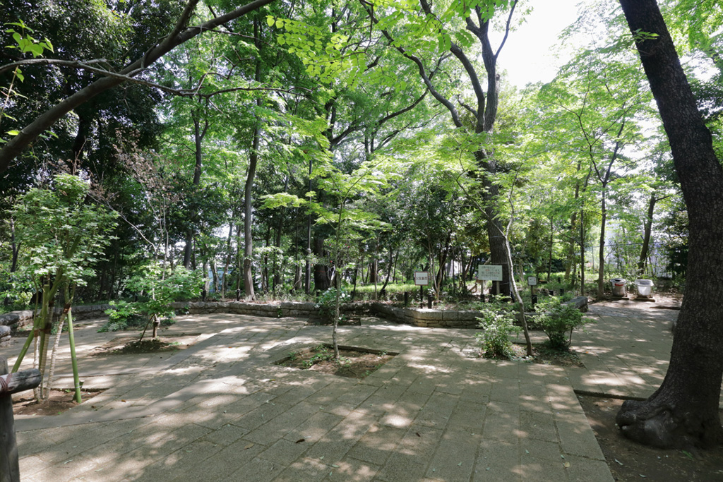 「林間広場」／おとめ山公園（東京都／新宿区）