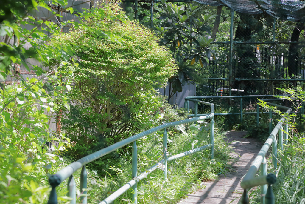 「ホタル舎」／おとめ山公園（東京都／新宿区）