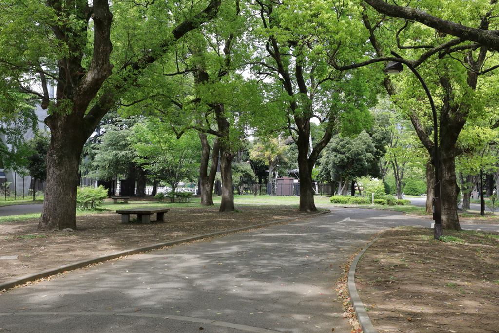 「サイクリングコース」／駒沢オリンピック公園（東京都／世田谷区）