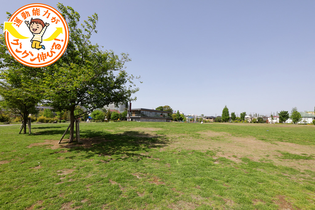 下高井戸おおぞら公園（杉並区）は巨大ネット遊具と芝生広場で遊び尽くす！