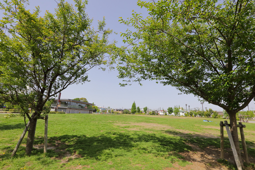 「憩いのはらっぱ」/下高井戸おおぞら公園(東京都/杉並区)