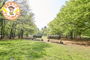 楽しみ方は無限大!広大な野川公園(三鷹市)を遊び尽くそう