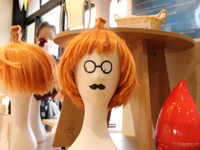 無料で利用できるたまねぎカツラ/道の駅うずしお(兵庫県南/あわじ市)