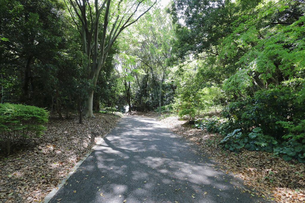 「森エリア」／大井ふ頭中央海浜公園なぎさの森（東京都／品川区）