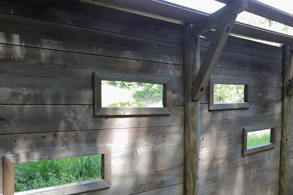 「野鳥観察壁」／大井ふ頭中央海浜公園なぎさの森（東京都／品川区）