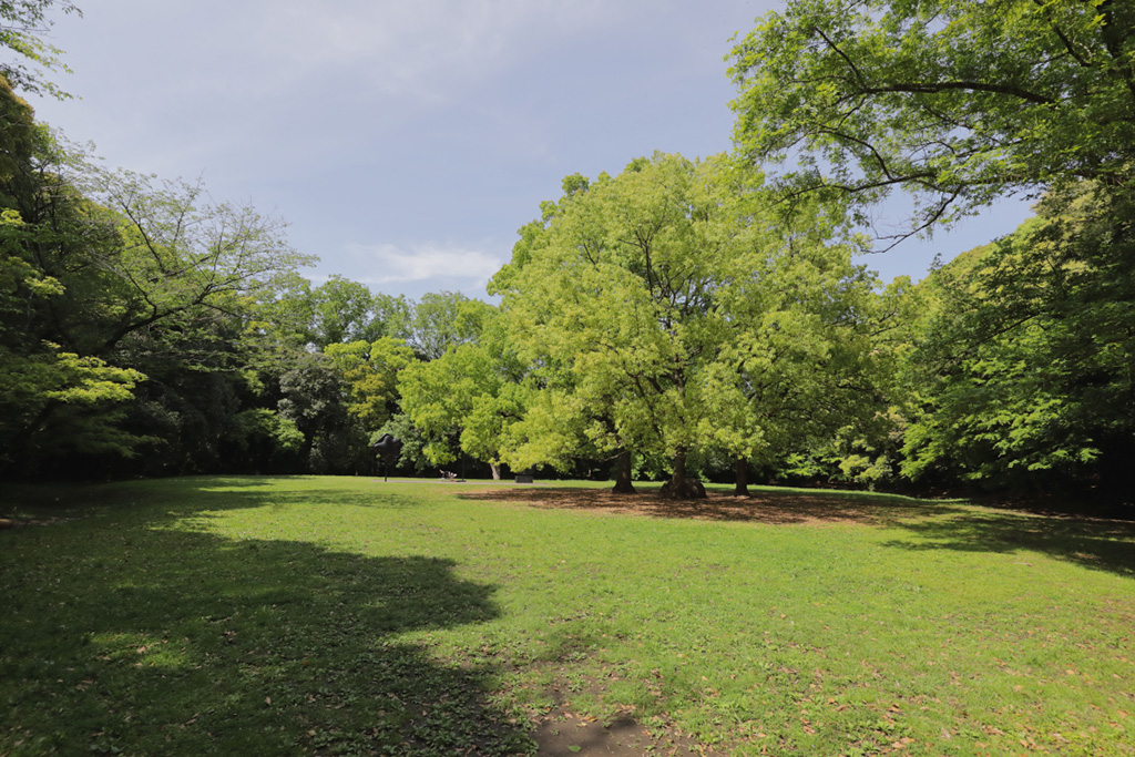 「芝生の広場」／大井ふ頭中央海浜公園なぎさの森（東京都／品川区）