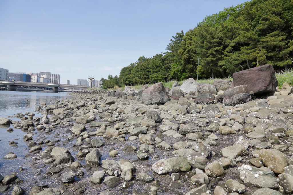 「水辺エリア」／大井ふ頭中央海浜公園なぎさの森（東京都／品川区）