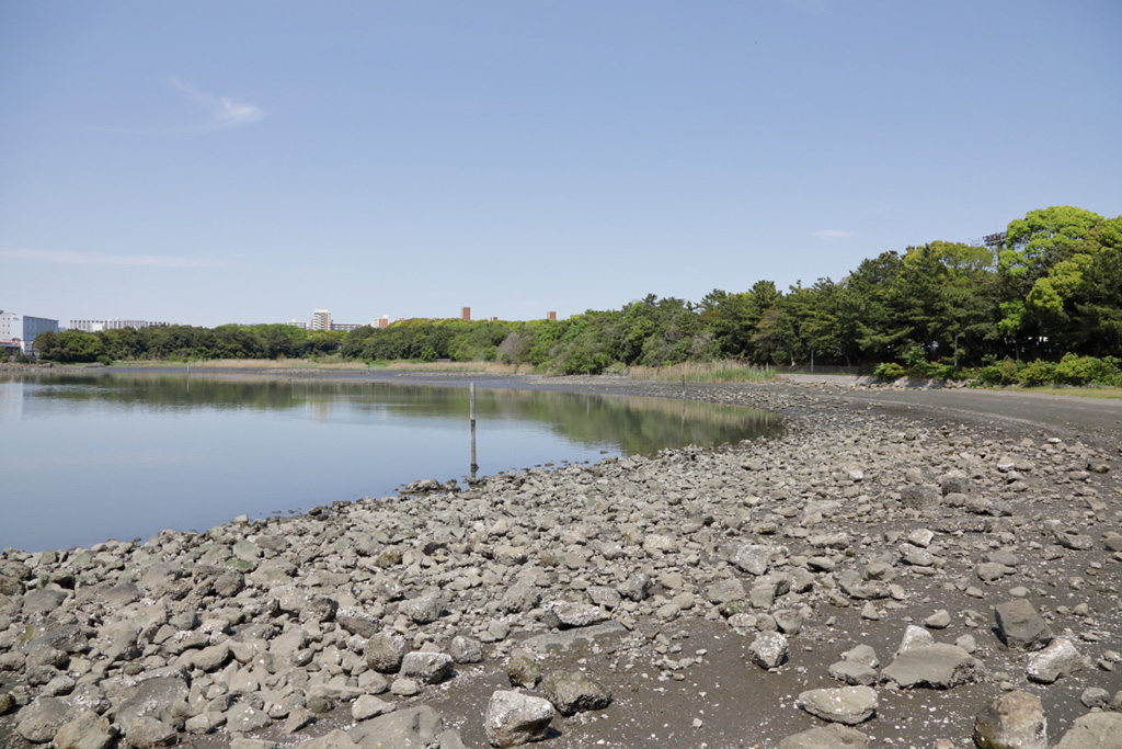 「磯遊びや釣りができる浜」／大井ふ頭中央海浜公園なぎさの森（東京都／品川区）
