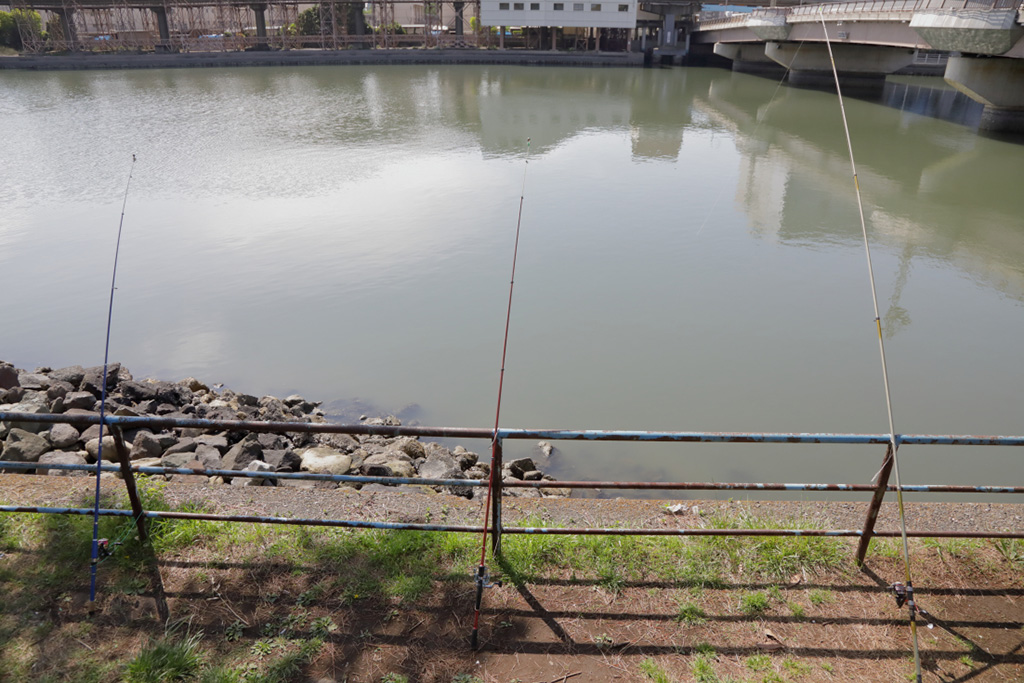 「しおじ磯」／大井ふ頭中央海浜公園なぎさの森（東京都／品川区）