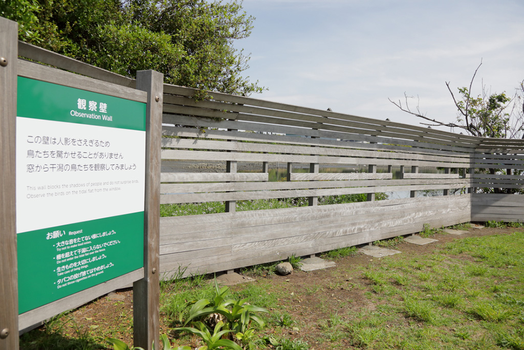 「野鳥観察壁」／大井ふ頭中央海浜公園なぎさの森（東京都／品川区）