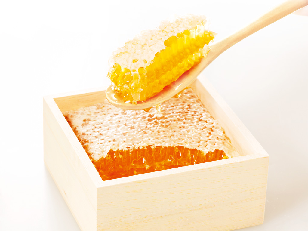 はちみつ/杉養蜂園　阿蘇みつばち牧場（熊本県/南阿蘇村）