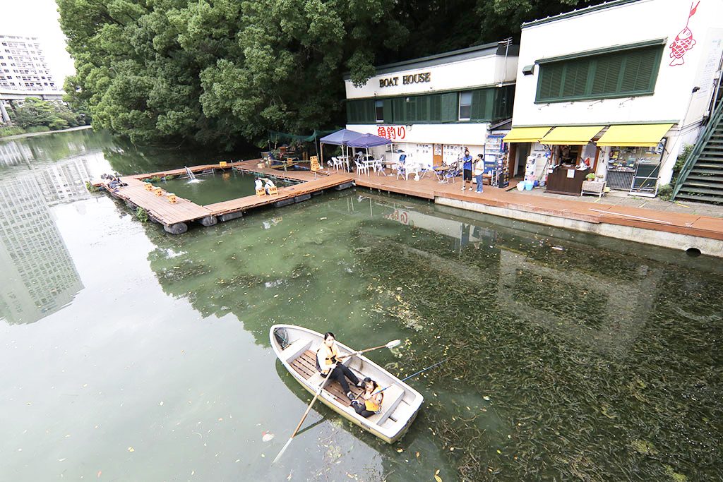 親子で釣り堀体験の様子