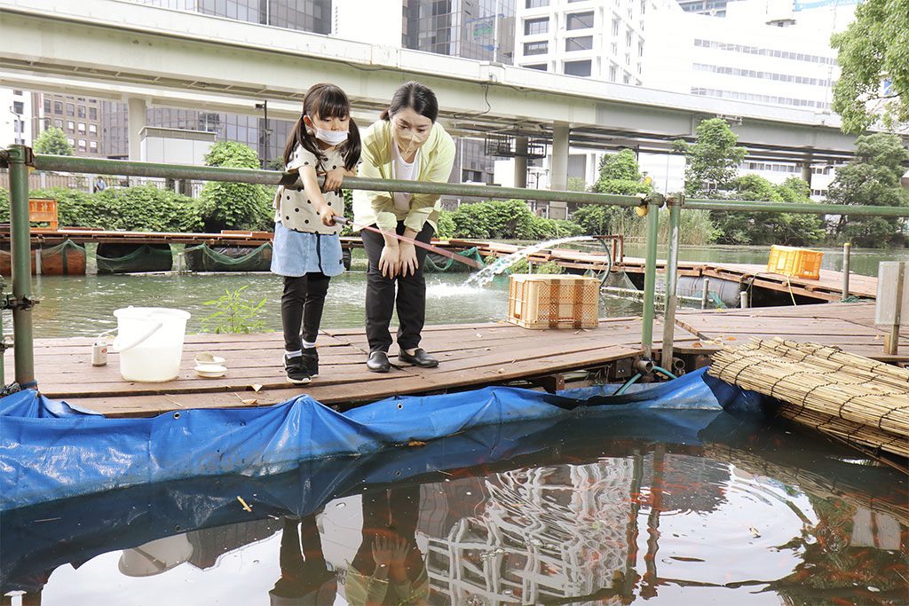 親子で釣り堀体験の様子
